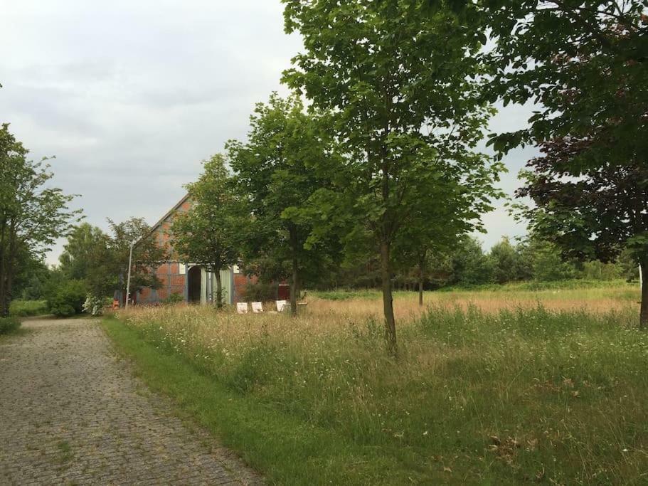 Entspannung In Der Schoenen Lueneburger Heide Gohrde エクステリア 写真